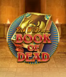 Dive into the thrilling world of Book of Dead by Play'n GO, featuring vivid graphics of Rich Wilde’s adventurous journey through ancient Egyptian tombs and artifacts. Discover lost riches with exciting mechanics like free spins, expanding symbols, and a gamble option. Ideal for adventure seekers with a desire for exciting finds.